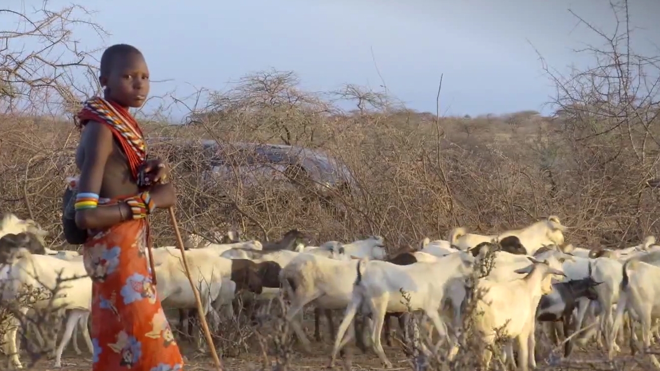 Les Kenyans adoptent des méthodes novatrices pour agir contre le changement climatique