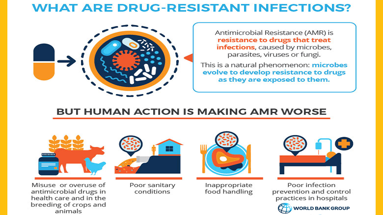 Drug Resistant Infections: A Threat to Our Economic Future