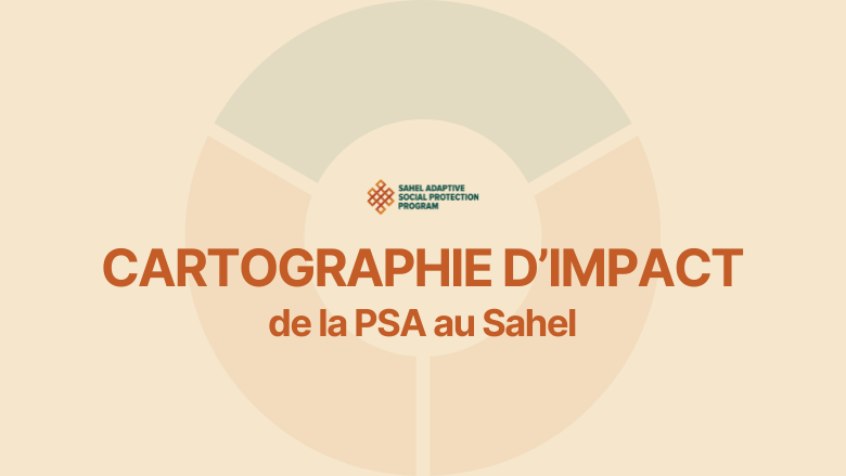 SASPP Website Thumbnail Mapping Impact FR