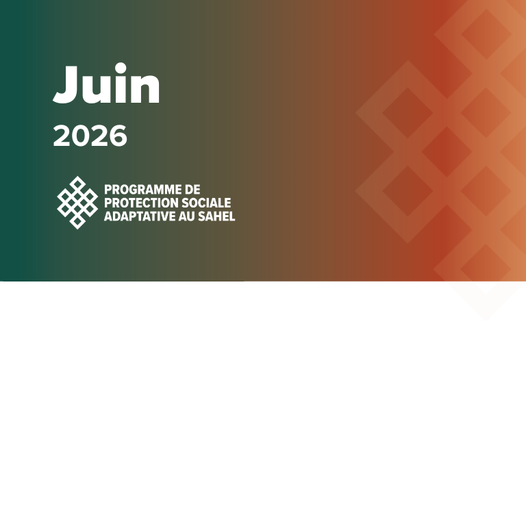 PPSAS Bulletin Trimestriel No 13 Juin 2026
