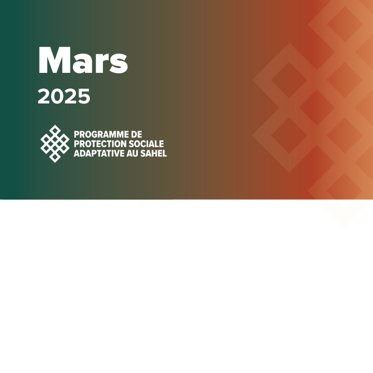SASPP Quarterly Digest Website Thumbnail 2025 March FR