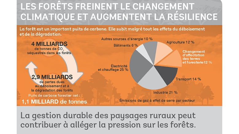 Source : Banque Mondiale