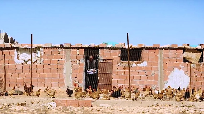 Volaille et accès au crédit donnent un nouveau souffle aux fermes tunisiennes