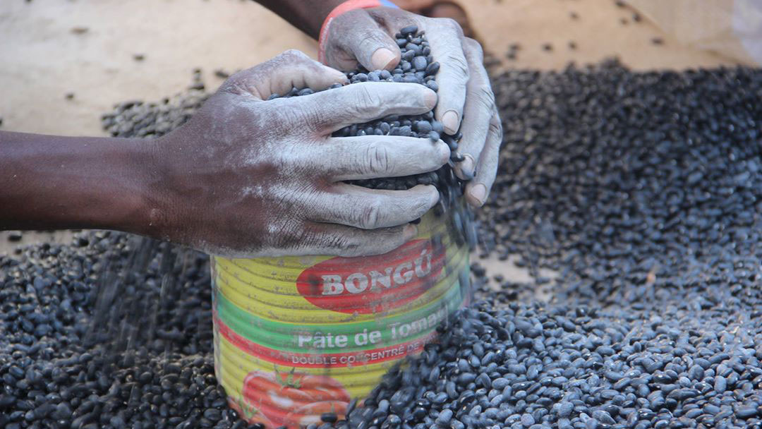 Comment Matthew a affecté l'agriculture en Haïti