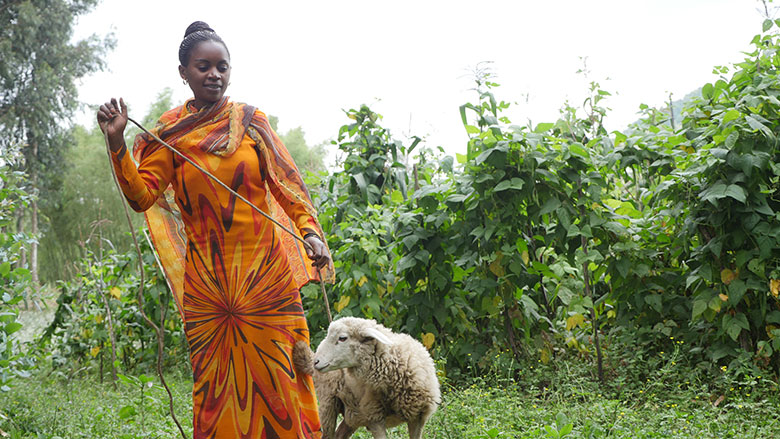 Leur histoire: une série de portraits de femmes qui contribuent au développement de l’Afrique