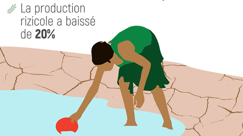 Note de conjoncture économique : Madagascar résiste aux chocs 