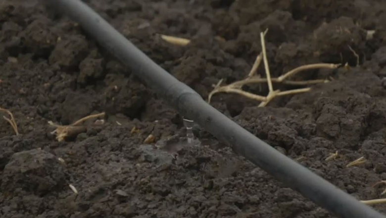 Au Maroc, le goutte-à-goutte permet un emploi plus efficient de l’eau
