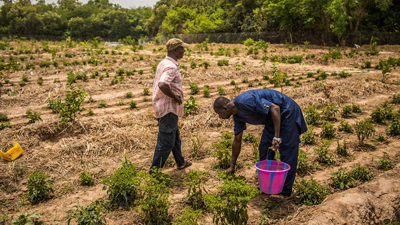 Jeune, agriculteur et entrepreneur, mais oui c'est possible !