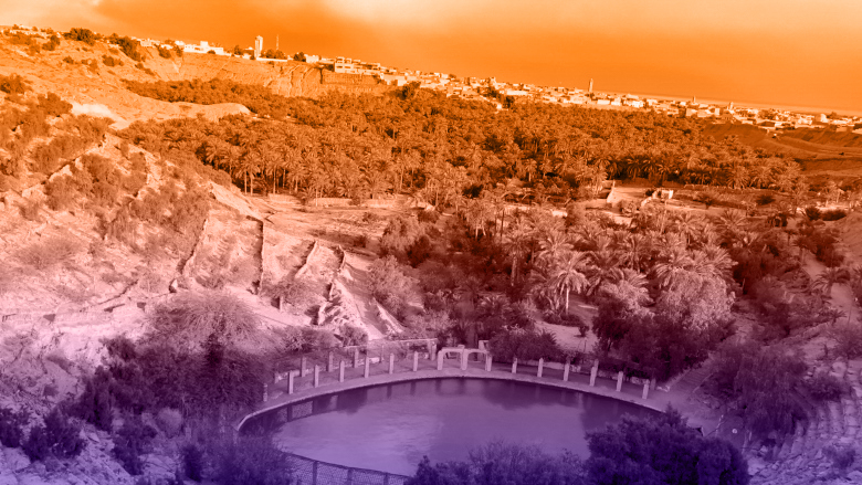 Renforcer la resilience des oasis et des populations en Tunisie. #ChangingLives © Banque mondiale