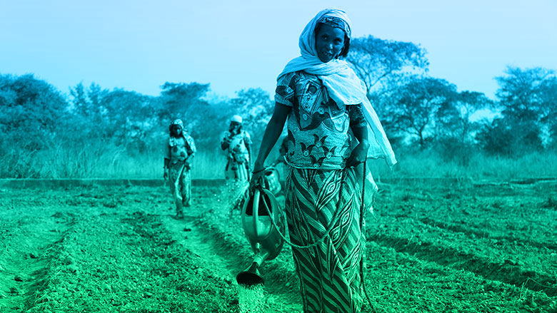 Au Tchad, des réfugiés apprennent à cultiver leurs propres aliments #ChangingLives © Banque mondiale