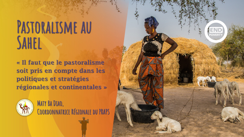 Il est temps d’intégrer le pastoralisme dans les stratégies politiques au Sahel