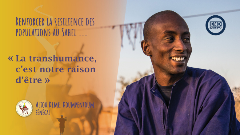 Transhumance : la raison d’être de millions d’éleveurs au Sahel