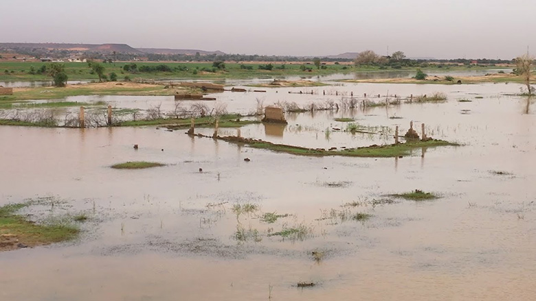 Voici comment le Niger aide ses agriculteurs à s’adapter au changement climatique