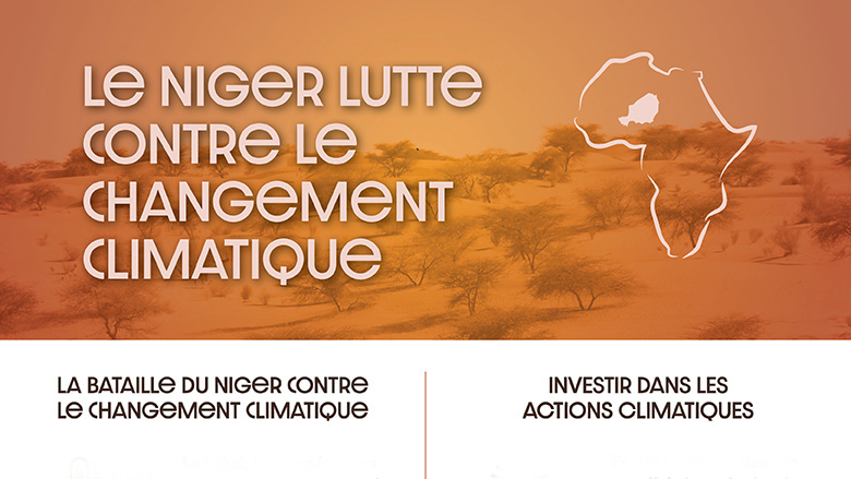Le Niger Lutte Contre le Changement Climatique