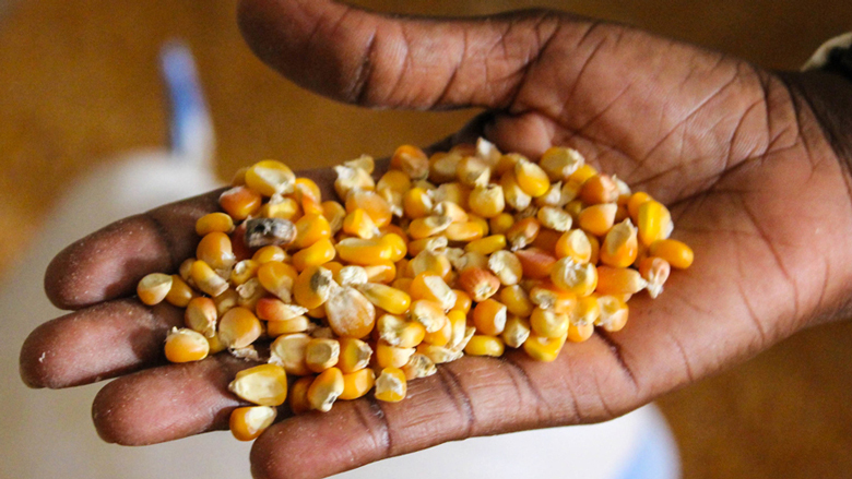 6 choses à savoir sur la crise de la sécurité alimentaire au Tchad