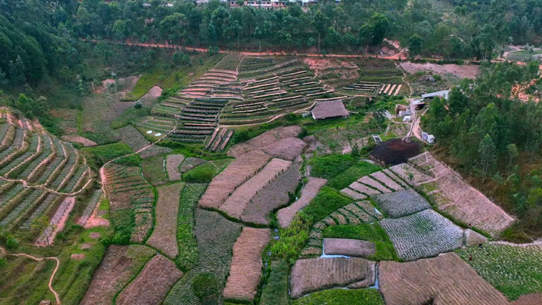 Renforcer la résilience climatique au Burundi, défis , opportunités et solutions