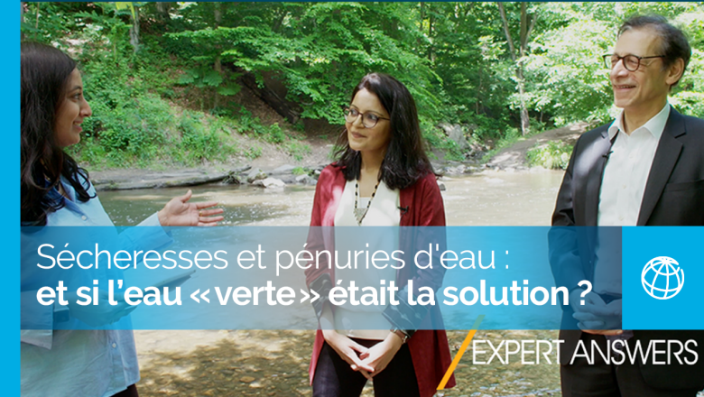 Sécheresses et pénuries d'eau : et si l’eau « verte » était la solution ? | Réponses d'experts