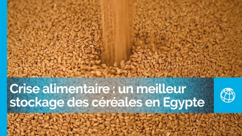 Atténuer la crise alimentaire en Égypte grâce à un meilleur stockage des céréales