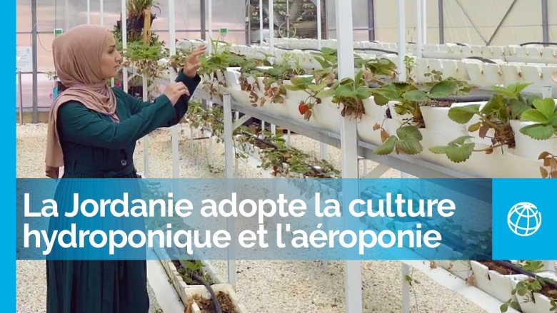 La Jordanie adopte la culture hydroponique et l'aéroponie pour une meilleure agriculture