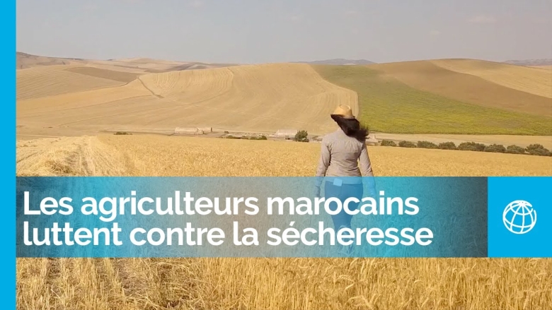 Les agriculteurs marocains luttent contre la sécheresse grâce à de meilleures pratiques agricoles