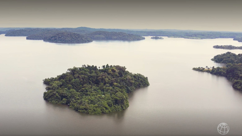 Une traversée du Gabon vert 