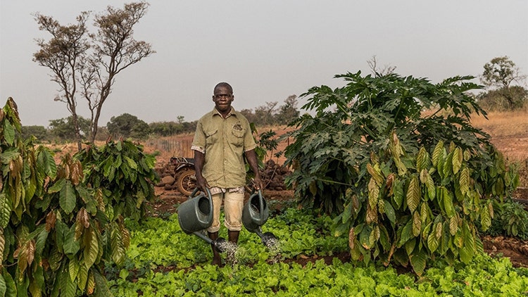 The World Bank in Burkina Faso