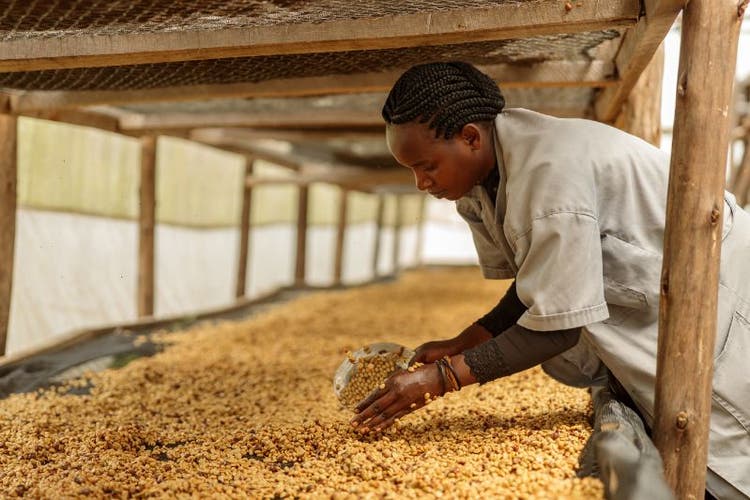 Remédier à l&#39;inefficacité des transports en Afrique est essentiel pour réduire l&#39;insécurité alimentaire