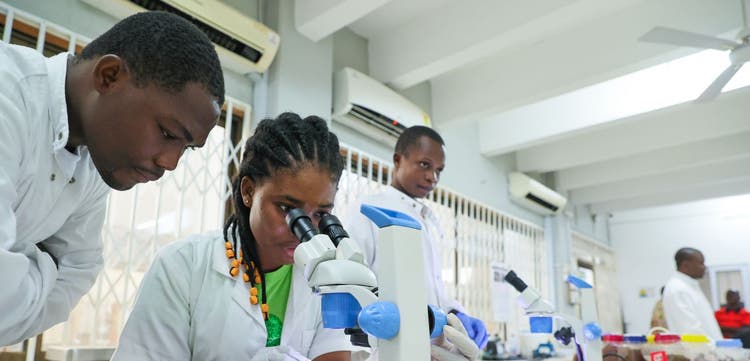 Afrique : quand l’excellence devient un effort collectif