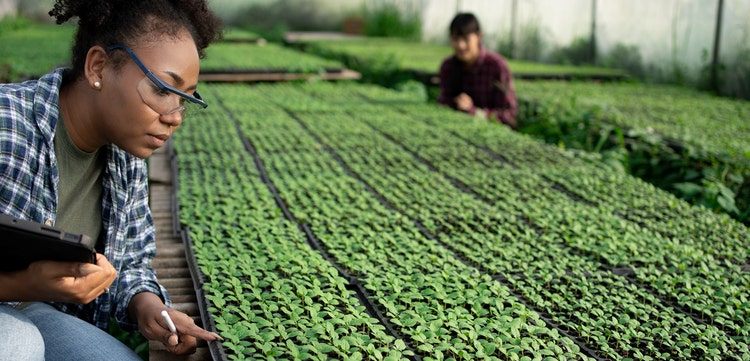 AgriConnect : financer l’agriculture et l’agroalimentaire, créer des emplois