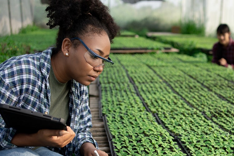 AgriConnect : financer l’agriculture et l’agroalimentaire, créer des emplois